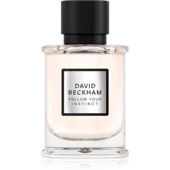 David Beckham Follow Your Instinct parfémovaná voda pro muže 50 ml