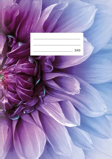 Školní sešit LUX A5 540