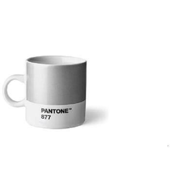 PANTONE  Espresso - Silver 877 C, 120 ml (101040877)