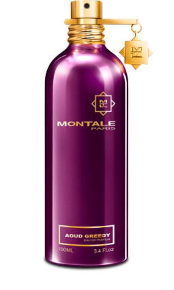 Montale Aoud Greedy - EDP 2 ml - odstřik s rozprašovačem