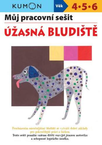 Úžasná bludiště - Můj pracovní sešit - Toshihiki Karakido