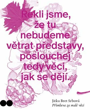 Přímluva za malé věci - Jitka Bret  Srbová