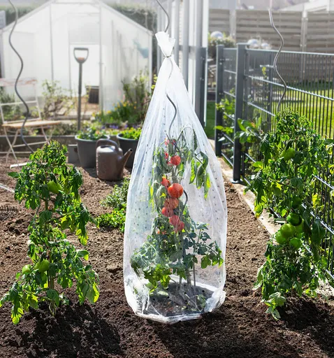 Fólie na pěstování rajčat, 3 ks