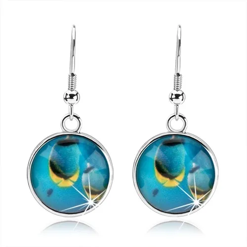 Náušnice kabošon, vypouklá glazura, modré rybky v moři