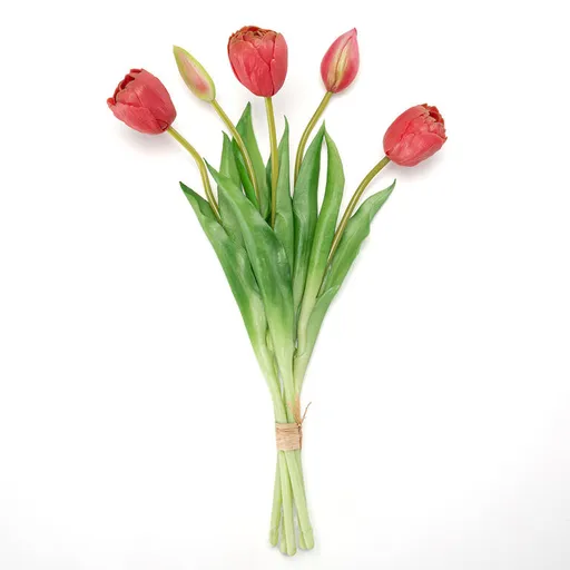 Svazek tulipány plnokvěté 39 cm, 5 ks