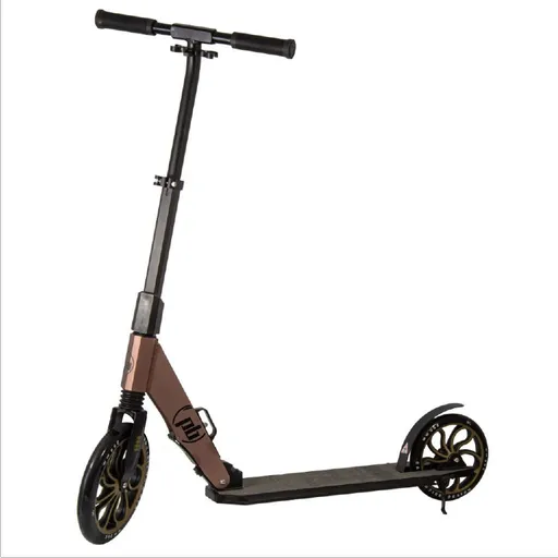 Skládací koloběžka PB Carbon, 250mm, GOLD