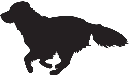 Vsepropejska Zlatý retrívr 3 dřevěná dekorace na zeď Rozměr (cm): 22 x 38