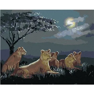 Zuty - Malování podle čísel - LVICE PO SOUMRAKU (D. RUSTY RUST), 80x100 cm, vypnuté plátno na rám (HRAmmb02529nad)