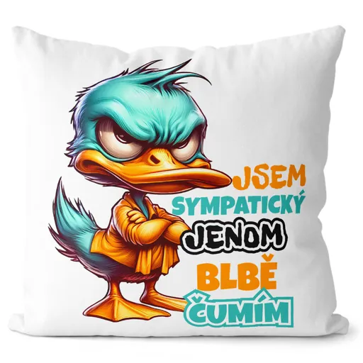 Polštář Jsem sympatický (Velikost: 55 x 55 cm)