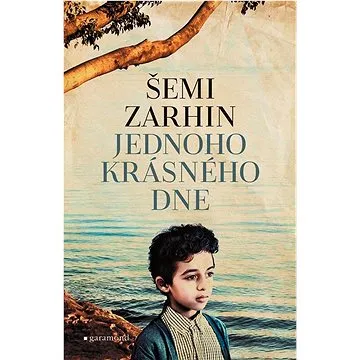 Jednoho krásného dne (978-80-7407-569-8)