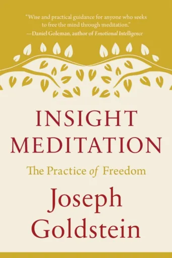 Insight Meditation - Joseph Goldstein