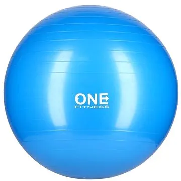 ONE Fitness Gym Ball 10 modrý, 55 cm  (17-42-150)