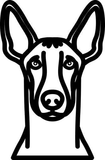 Vsepropejska Psí dekorace na zeď Plemeno: Faraonský pes