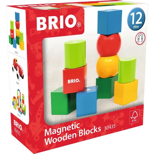BRIO 30435 Magnetické dřevěné kostky