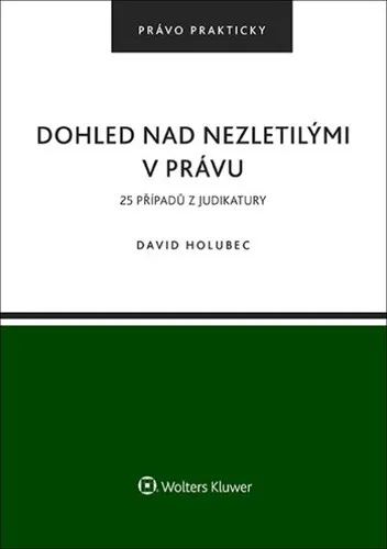 Dohled nad nezletilými v právu - David Holubec