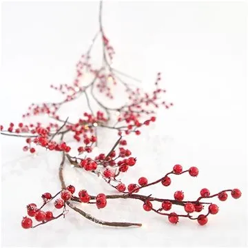 EUROLAMP Osvětlená girlanda s bobulemi (5207227097102)