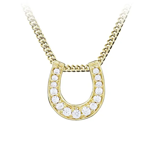 Silver Cat Třpytivý pozlacený náhrdelník Podkova SC545 (řetízek, přívěsek)