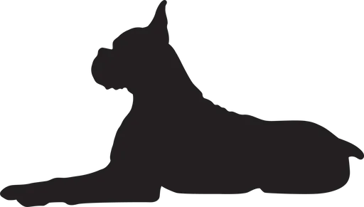 Vsepropejska Boxer 2 dřevěná dekorace na zeď Rozměr (cm): 38 x 33