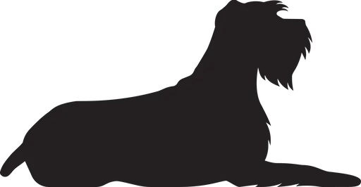 Vsepropejska Knírač 2 dřevěná dekorace na zeď Rozměr (cm): 19 x 38