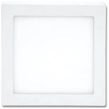 LED Stropní svítidlo RAFA LED/25W/230V 2700K (110379)