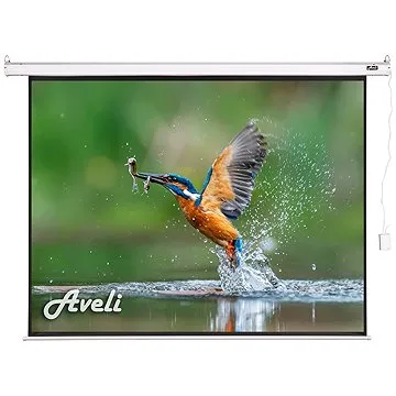 AVELI, roleta s elektrickým motorem, 119"(4:3) (XRT-00173)