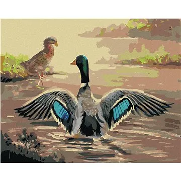 Zuty - Malování podle čísel - KACHNA S ROZTAŽENÝMI KŘÍDLY (D. RUSTY RUST), 80x100 cm, vypnuté plátno (HRAmmb03313nad)