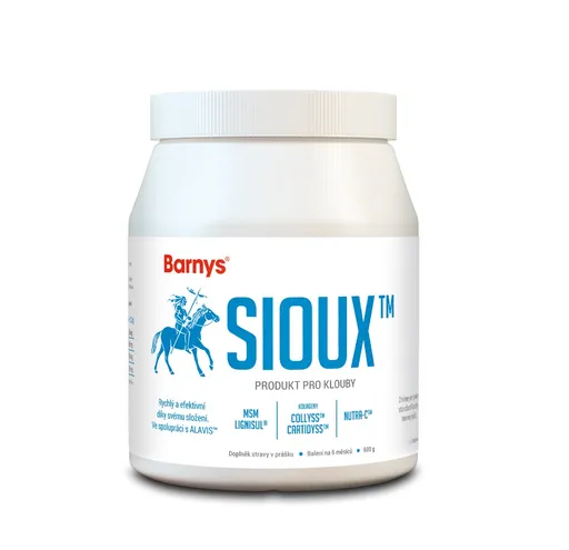 Barny´s Sioux MSM 600 g