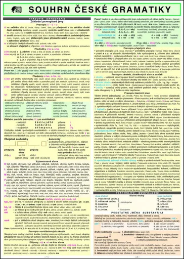SOUHRN ČESKÉ GRAMATIKY A4