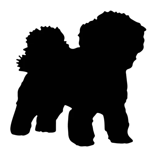 Vsepropejska Mag magnet na lednici ve tvaru psa Plemeno: Boloňský psík