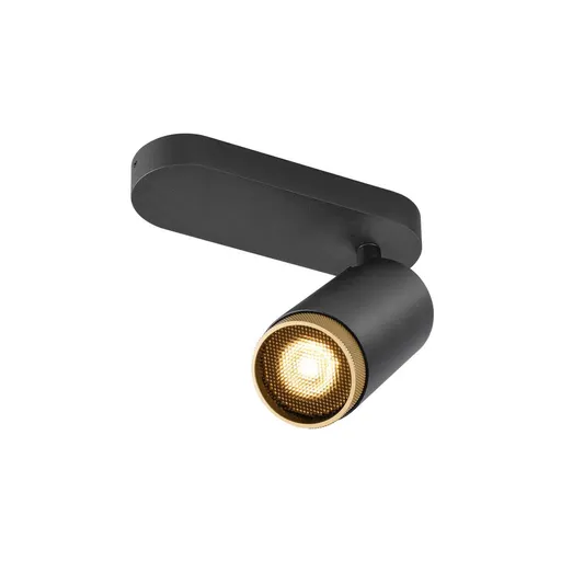 BIG WHITE (SLV) GRIP! L SPOT CL, single, QPAR51, stropní svítidlo pro povrchovou montáž, válcové, 1 x max. 6 W, černá / zlatá barva 1009093