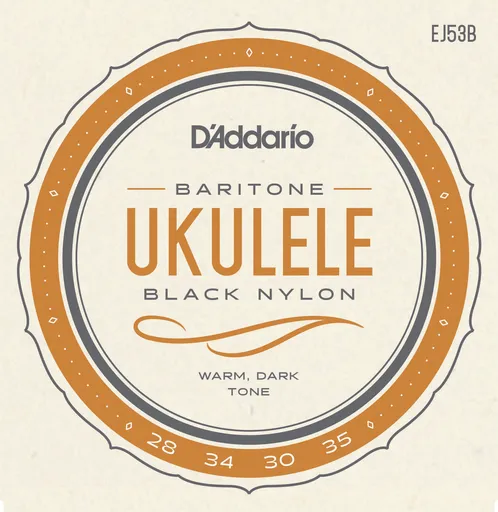D'Addario EJ53B