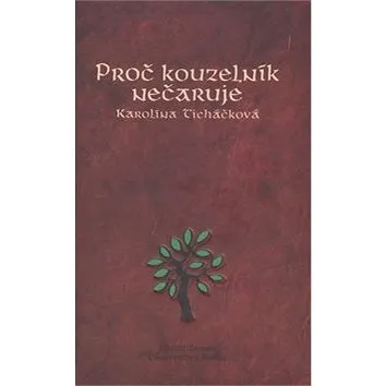 Proč kouzelník nečaruje (978-80-904042-0-5)