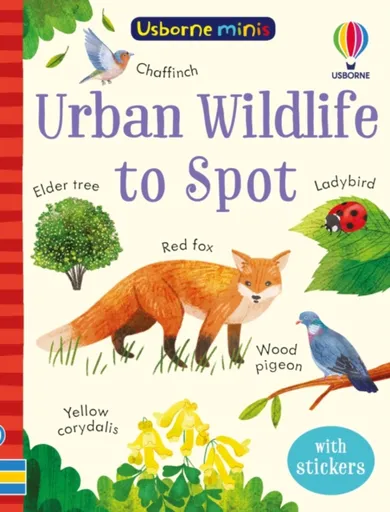 Urban Wildlife to Spot - Kate Nolan