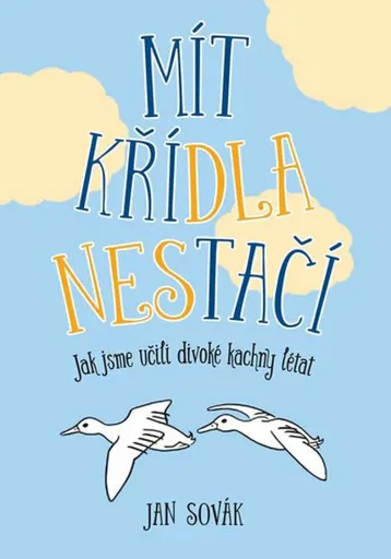 Mít křídla nestačí - Jan Sovák