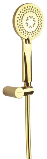 DEANTE Arnika zlato Sprchový set, s pevným držákem NQA_Z41K