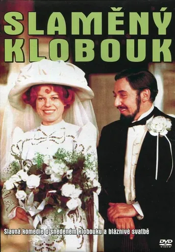 Slaměný klobouk (DVD) (papírový obal)