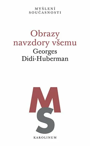 Obrazy navzdory všemu - Georges Didi-Huberman