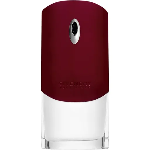 GIVENCHY Givenchy Pour Homme toaletní voda pro muže 100 ml
