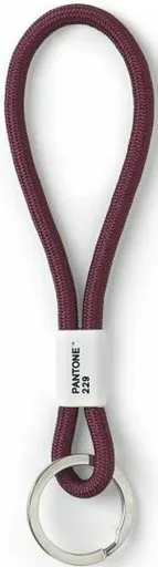 PANTONE Poutko na klíče S - Aubergine 229