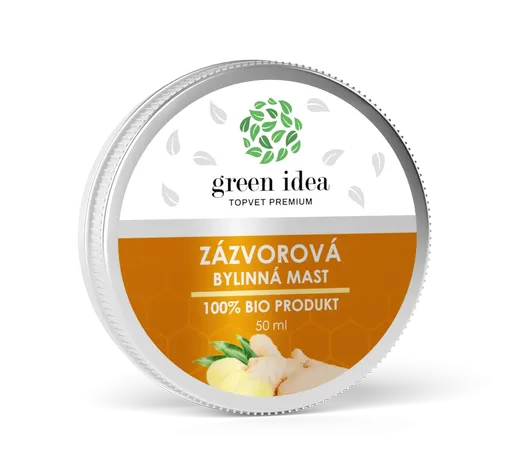 Zázvorová mast 50 ml - Green idea