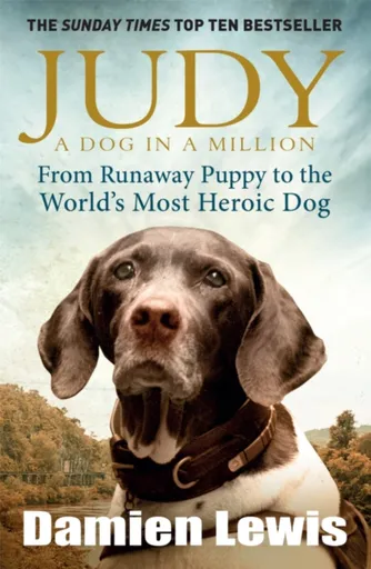 Judy: A Dog in a Million - Damien Lewis