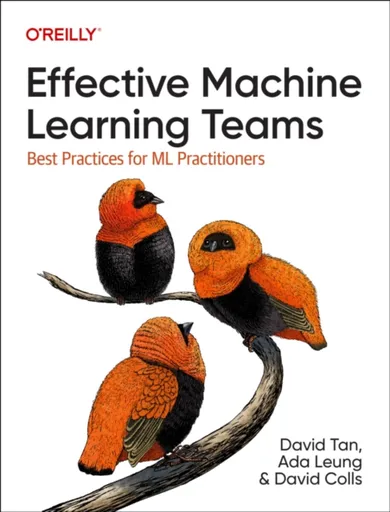 Effective Machine Learning Teams - Ada Leung, David Tan, David Colls