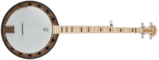 Deering Goodtime Special 5-String with Resonator