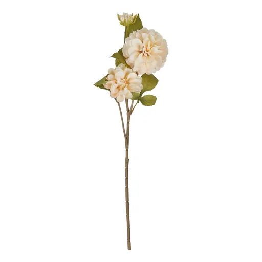 FLORISTA Chryzantéma 63 cm - krémová