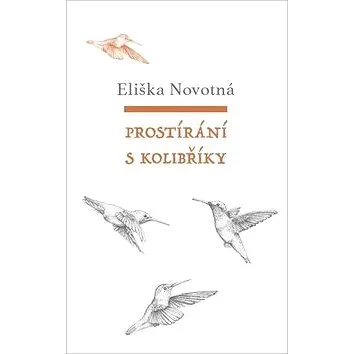 Prostírání s kolibříky (978-80-7229-651-4)