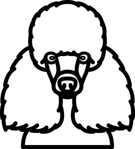 Vsepropejska Psí dekorace na zeď Plemeno: Pudl