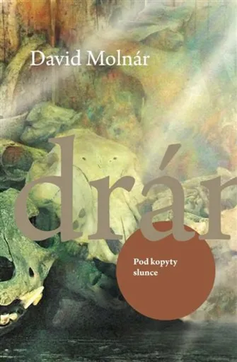 Pod kopyty slunce - David Molnár