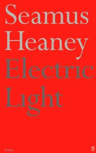 Electric Light - Seamus Heaney