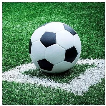 Goba ubrousky Fotbalový míč (3400053)