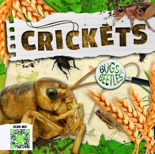 Crickets - Anthony William